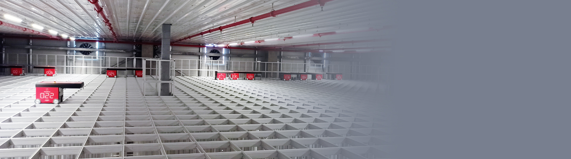 פתרונות לניהול שרשרת האספקה